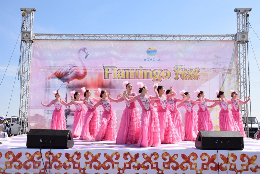 Қызғылт қоқиқаздарды қызықтау: Ақмола облысында «Flamingo Fest» фестивалі өтеді